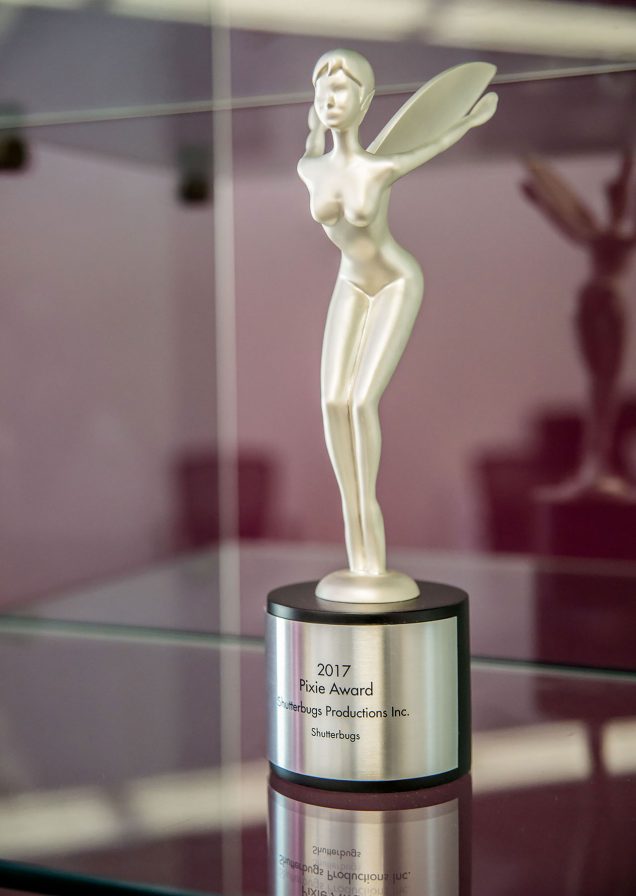 2017 pixie award